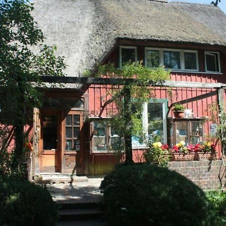 Ferienwohnung "Nordstrand" 普雷罗 外观 照片